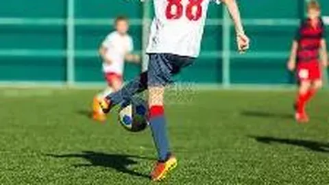 克羅地亞歐預賽兩連敗，達利奇向球迷道歉