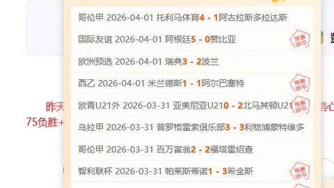 “25岁葡萄牙前璀璨球星现估值降至2500万：意甲豪门放弃签下或转战土超寻求机遇”