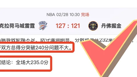 庆祝24岁生日！萨利巴：阿森纳官方揭晓后防新星精彩瞬间集锦